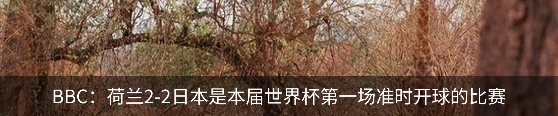 行业资讯